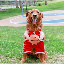 Load image into Gallery viewer, Dog Basketball Costume