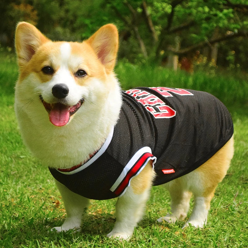 Basketball Jersey for Dogs