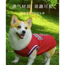 Load image into Gallery viewer, Basketball Jersey for Dogs
