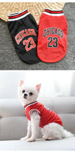 Load image into Gallery viewer, Summer Dog Basketball Costume