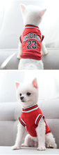 Load image into Gallery viewer, Summer Dog Basketball Costume