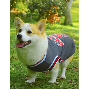 Basketball Jersey for Dogs
