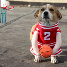 Load image into Gallery viewer, Pet Basketball Funny Transformation Dog Suit
