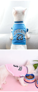 Summer Dog Basketball Costume