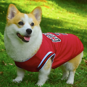 Basketball Jersey for Dogs