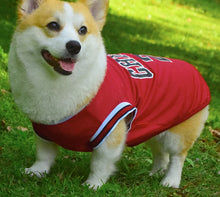 Load image into Gallery viewer, Basketball Jersey for Dogs