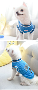 Summer Dog Basketball Costume