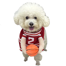 Load image into Gallery viewer, Pet Basketball Funny Transformation Dog Suit
