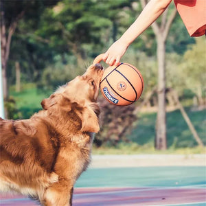Pet Dog Toy Basketball