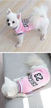 Load image into Gallery viewer, Summer Dog Basketball Costume