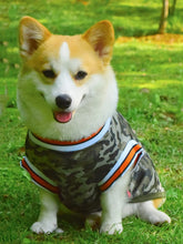 Load image into Gallery viewer, Basketball Jersey for Dogs