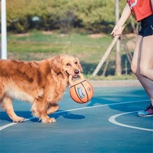 Load image into Gallery viewer, Pet Dog Toy Basketball