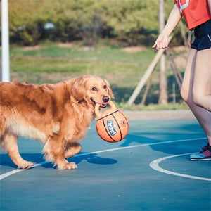 Pet Dog Toy Basketball
