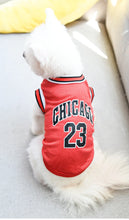 Load image into Gallery viewer, Summer Dog Basketball Costume