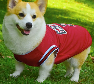 Basketball Jersey for Dogs