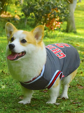 Load image into Gallery viewer, Basketball Jersey for Dogs