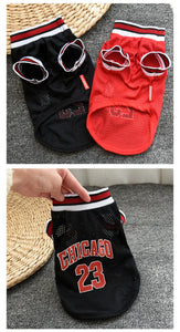 Summer Dog Basketball Costume