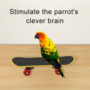Craftsboys 5pcs Parrot Training Toy Set